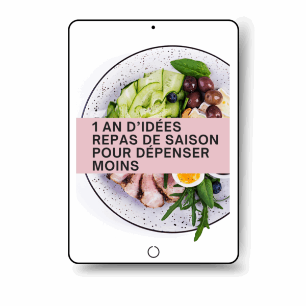 1 an d'idées repas