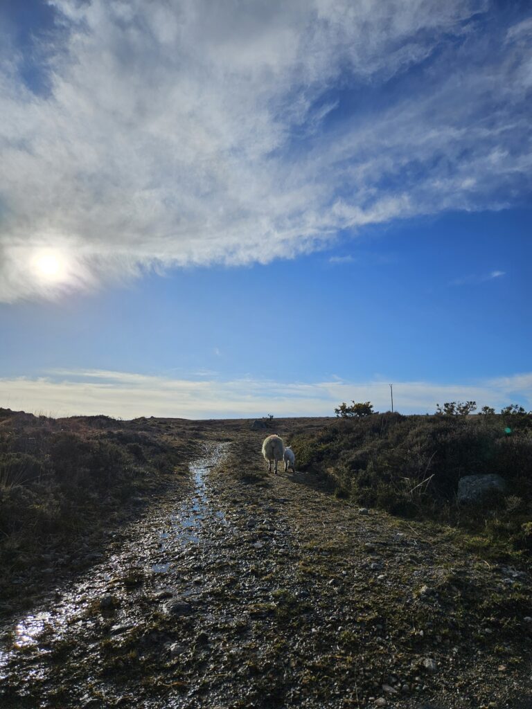 Knockadoagh - Connemara