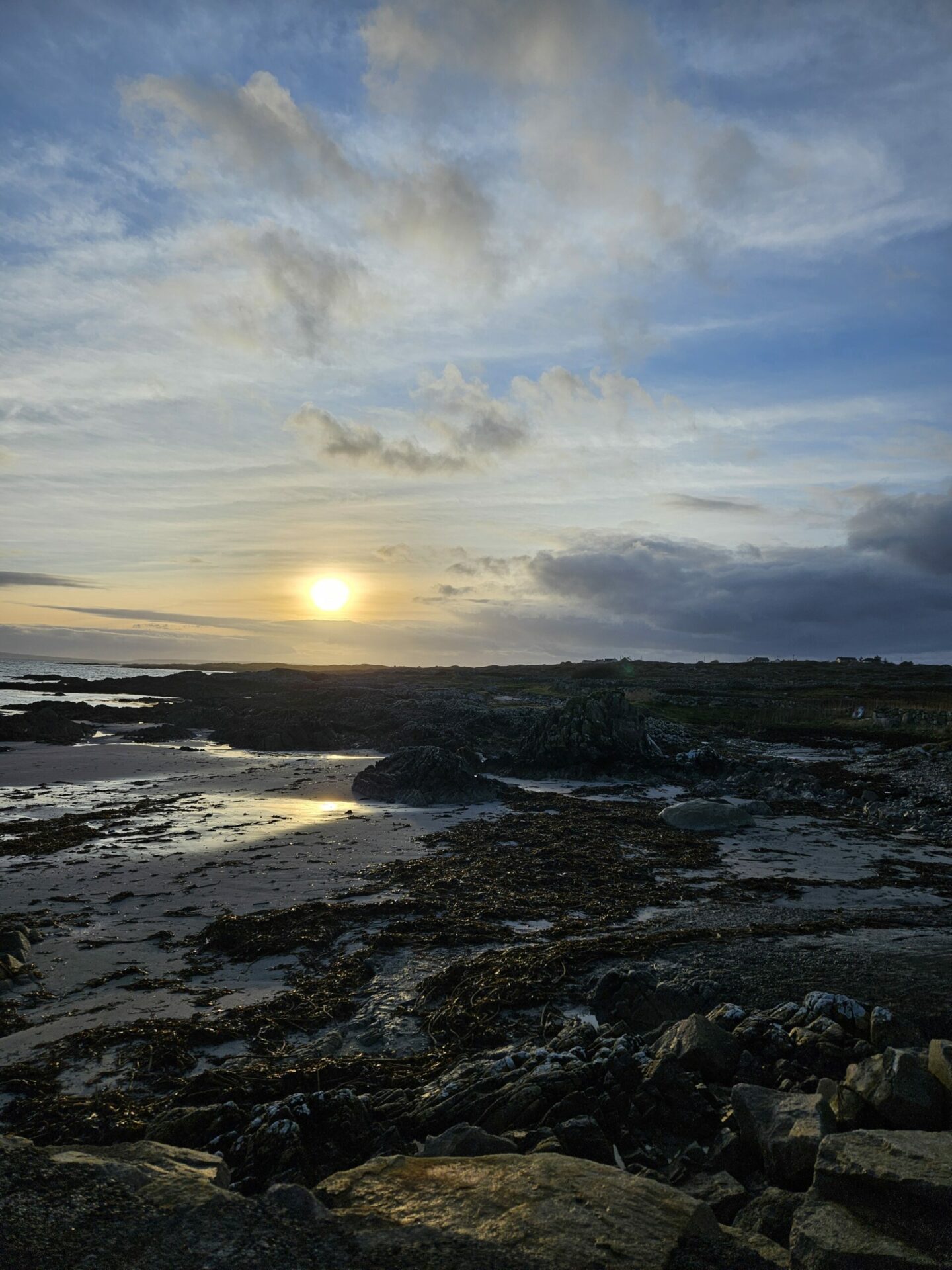 Tish More - Connemara